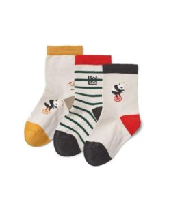 Ascendappare.shop01f2106855 1