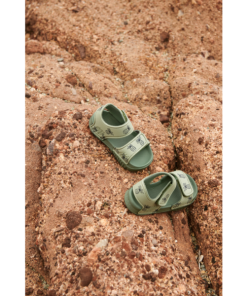 Ascendappare.shop0331b39d25 2