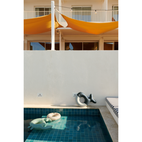 Ascendappare.shop049c3e4b02 2