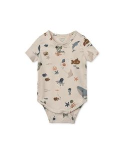 Ascendappare.shop05cacdbfdf 1