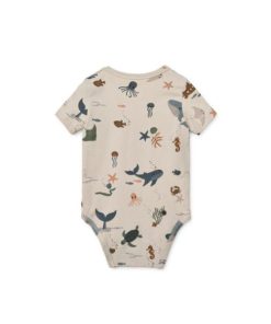 Ascendappare.shop05cacdbfdf 2