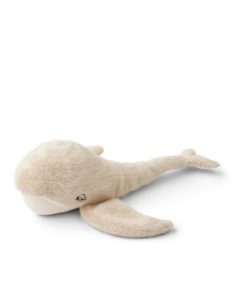 Ascendappare.shop11f62fce47 1