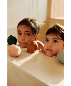 Ascendappare.shop180e06fe6a 2