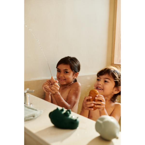 Ascendappare.shop180e06fe6a 3