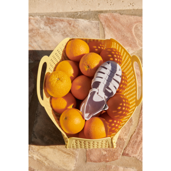 Ascendappare.shop1bdb016bae 5