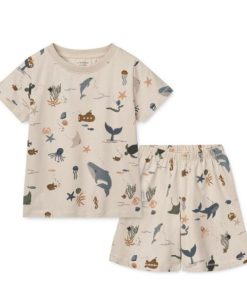 Ascendappare.shop1d783ec8a8 1