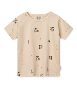 Ascendappare.shop306831503c 1