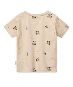 Ascendappare.shop306831503c 2