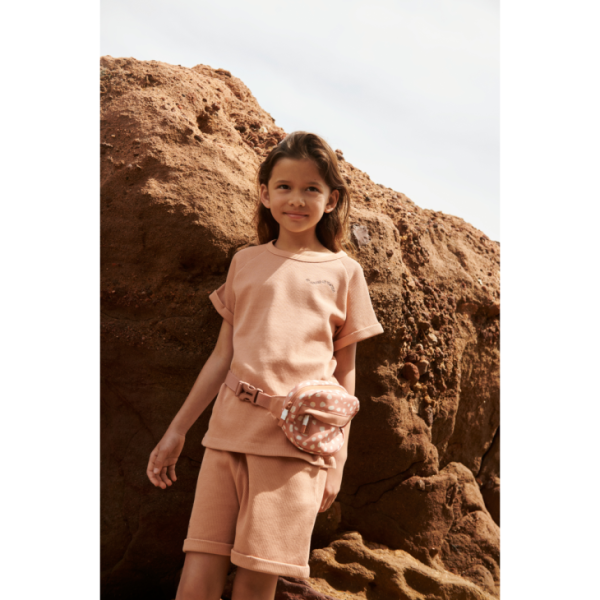 Ascendappare.shop3477c7790f 4