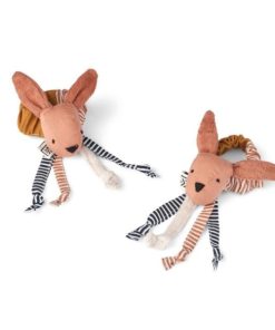 Ascendappare.shop375e3251e1 1