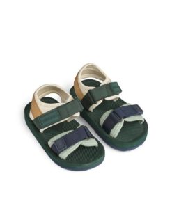 Ascendappare.shop45b07f9f26 1