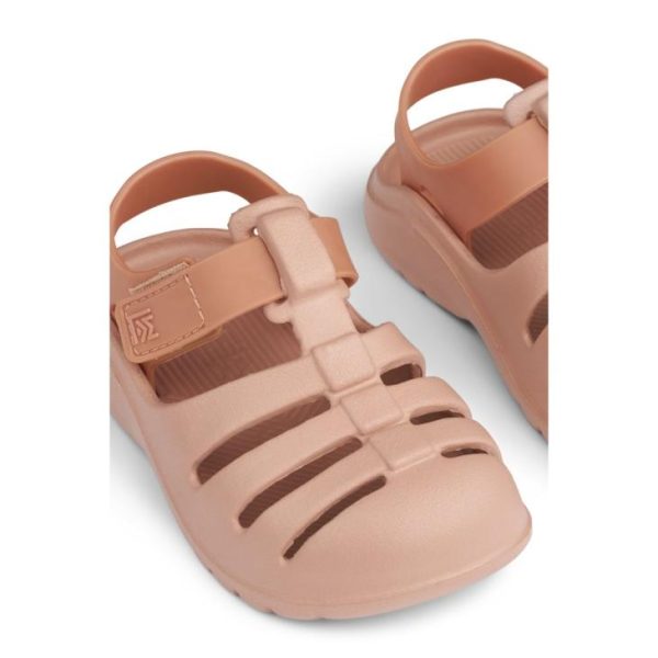 Ascendappare.shop4c604051e3 4