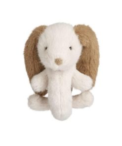 Ascendappare.shop5da3f4dba1 2