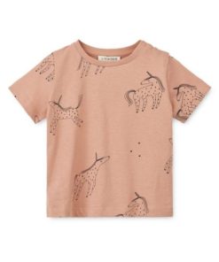 Ascendappare.shop6587920a12 1