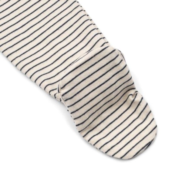 Ascendappare.shop67e0ca29c1 4