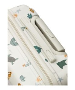 Ascendappare.shop6825512745 4