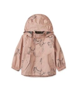 Ascendappare.shop720ed2046c 1