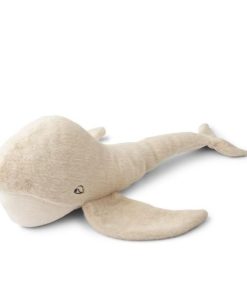 Ascendappare.shop7b2e69a664 1