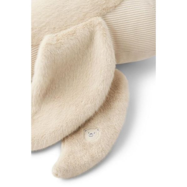 Ascendappare.shop7b2e69a664 2