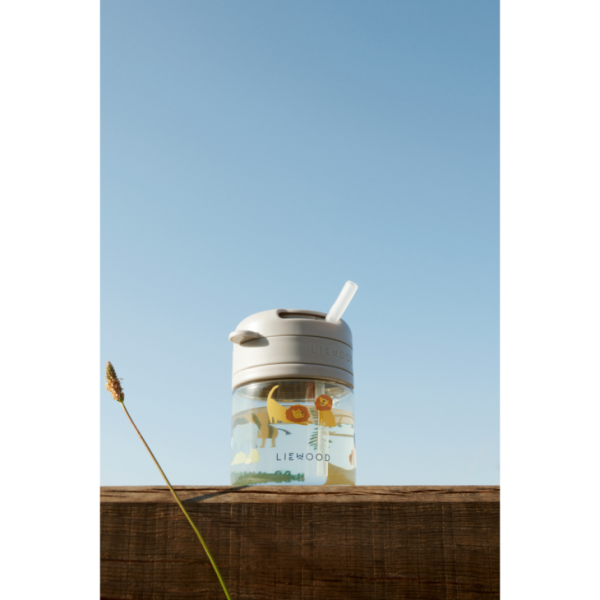 Ascendappare.shop7e50d69974 5