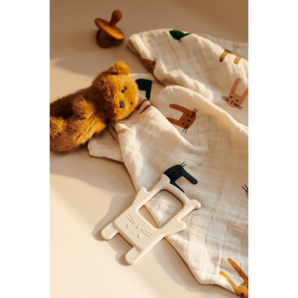 Ascendappare.shop8e93aa0748 3