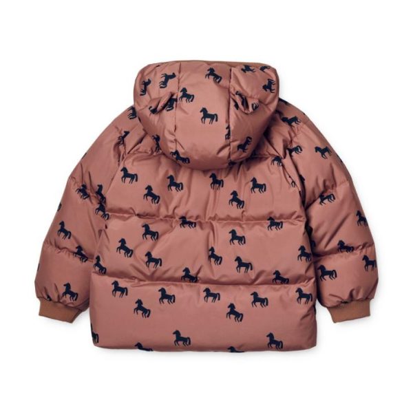 Ascendappare.shop93c14ca79f 2