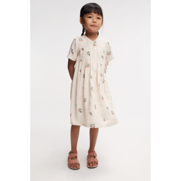 Ascendappare.shop93ea709120 1