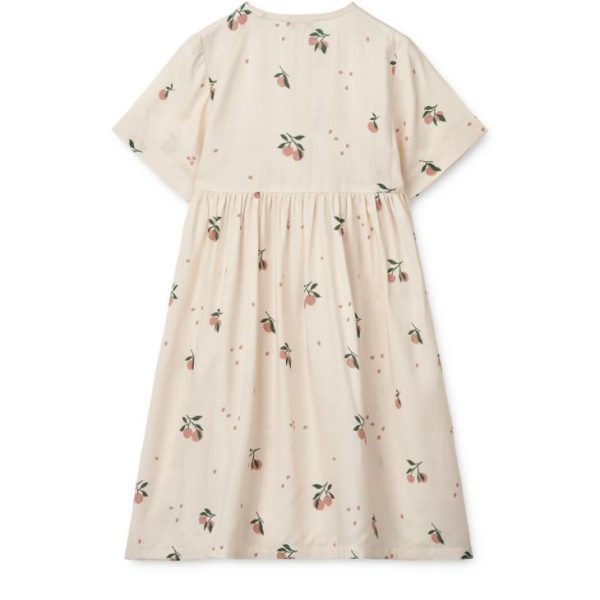 Ascendappare.shop93ea709120 4