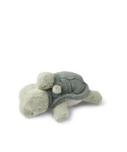 Ascendappare.shop9ac4691a31 2