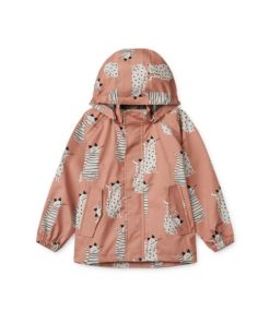 Ascendappare.shopae35479ec9 1