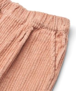 Ascendappare.shopb0cc523933 3