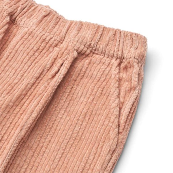 Ascendappare.shopb0cc523933 3