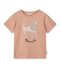 Ascendappare.shopb2e46830ec 1