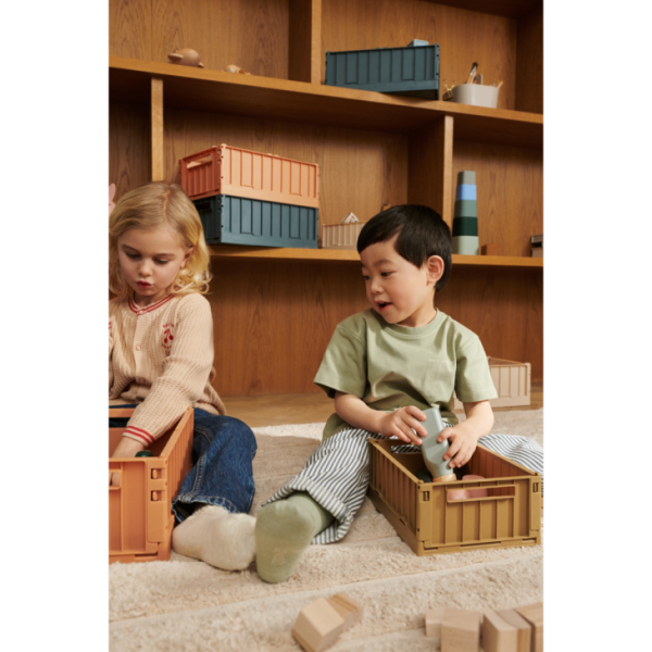 Ascendappare.shopb39ea03cd4 4