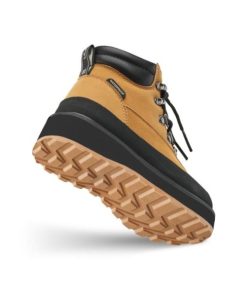 Ascendappare.shopb68e349615 3