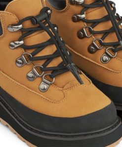 Ascendappare.shopb68e349615 4