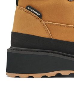 Ascendappare.shopb68e349615 5