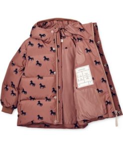 Ascendappare.shopc6dc35a336 3