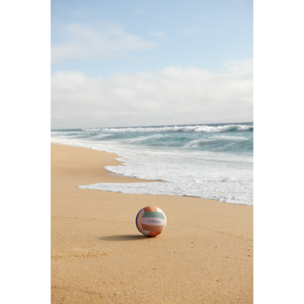 Ascendappare.shopc928a6b0c7 2