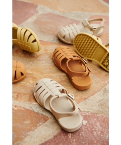 Ascendappare.shopca64ab3723 5