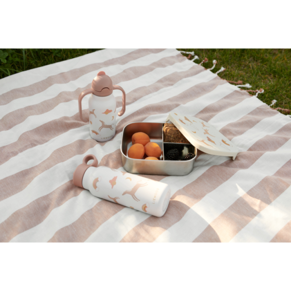 Ascendappare.shopcb186aa139 2