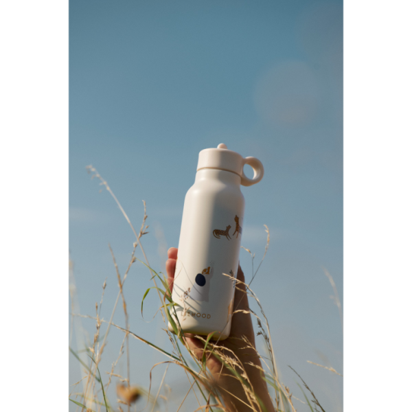 Ascendappare.shopcc7172b8d4 3