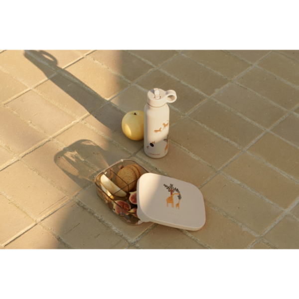 Ascendappare.shopcc7172b8d4 4