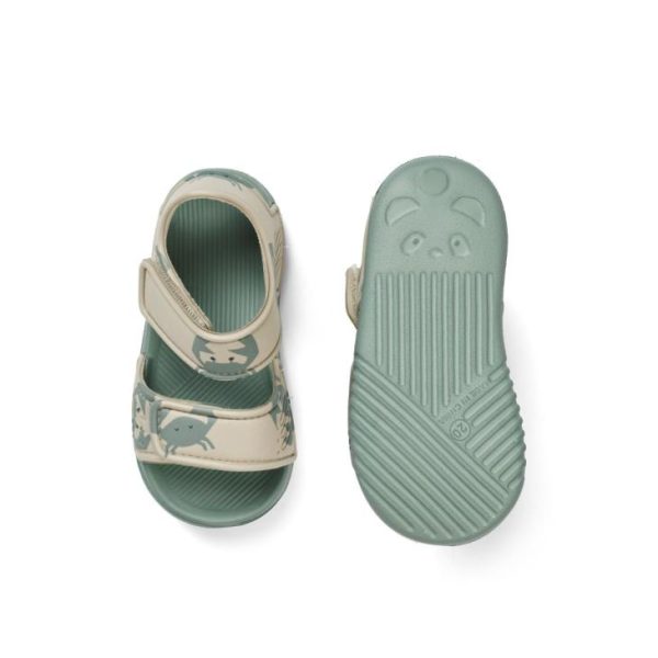 Ascendappare.shopcdcd06c2db 2