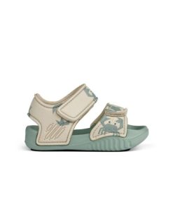 Ascendappare.shopcdcd06c2db 3