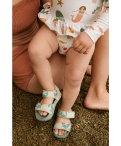 Ascendappare.shopcdcd06c2db 5