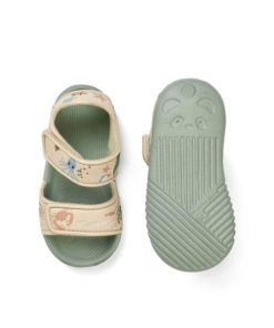 Ascendappare.shopeb09475211 2