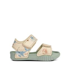 Ascendappare.shopeb09475211 3