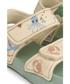 Ascendappare.shopeb09475211 4