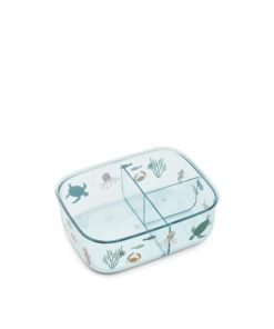 Ascendappare.shopef1ee97c5d 2